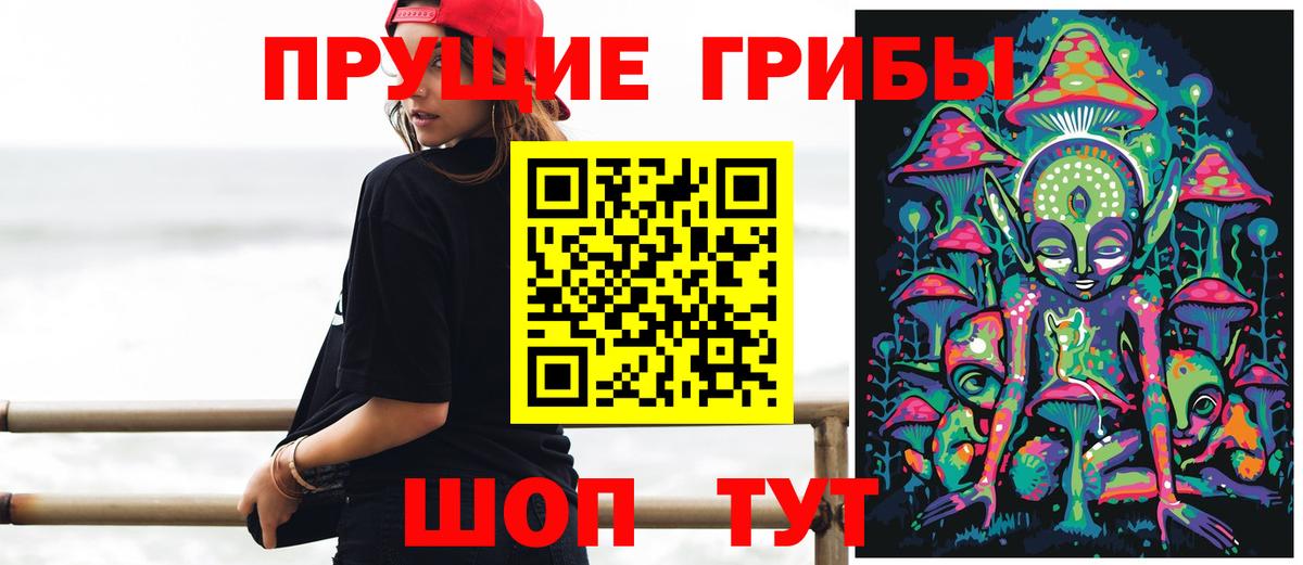 Галлюциногенные грибы GOLDEN TEACHER  как найти закладки  Ростов-на-Дону  Вход с VPN 
